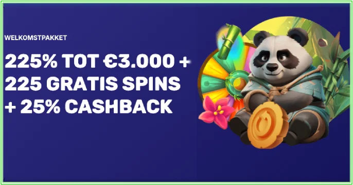 Spin Panda Casino banner