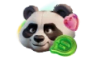 SpinPanda